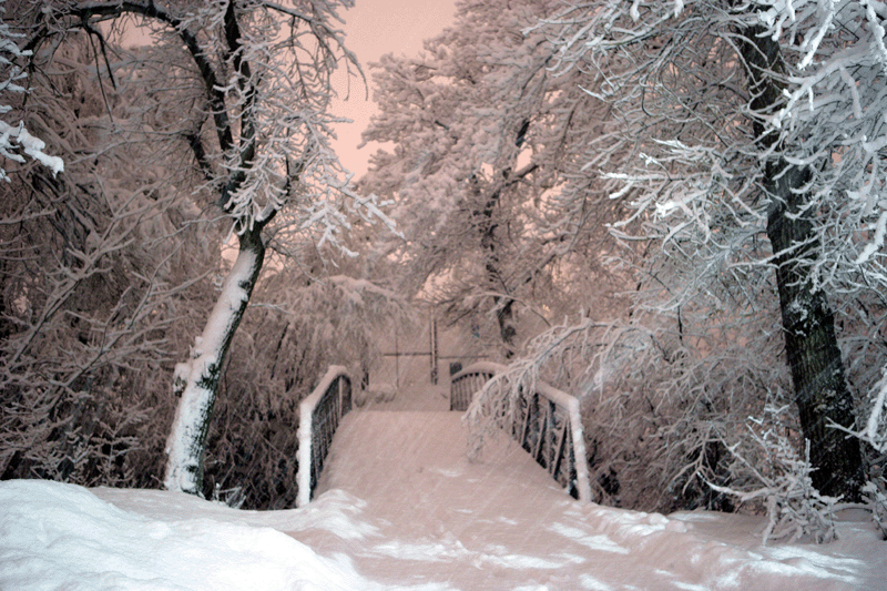 bouldercentralparkphoto101dec28th.gif