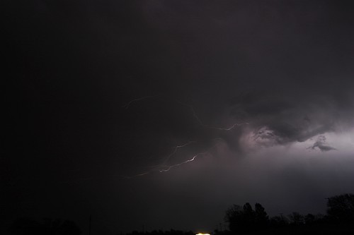 1610973100_b2f7421e9c.jpg