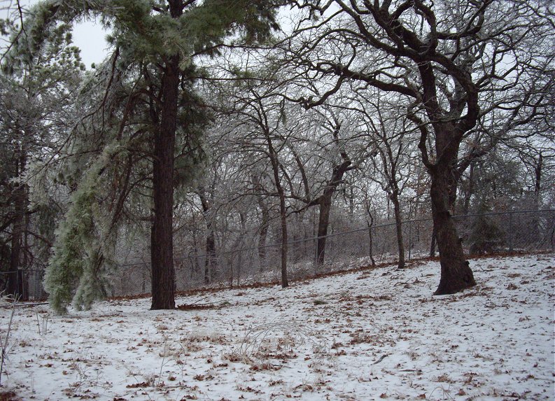 28jan10h.jpg