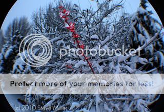IMG_6380.jpg