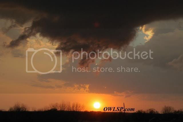 DSC_0234_1.jpg