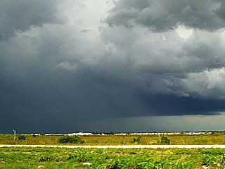 p052509a.jpg