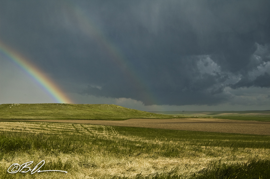 20100616-DSC_0108.jpg