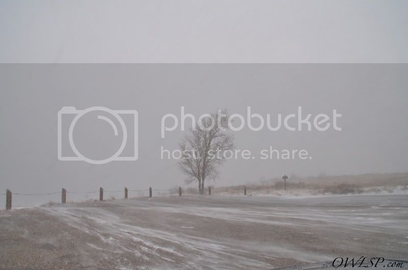 DSC_0043.jpg