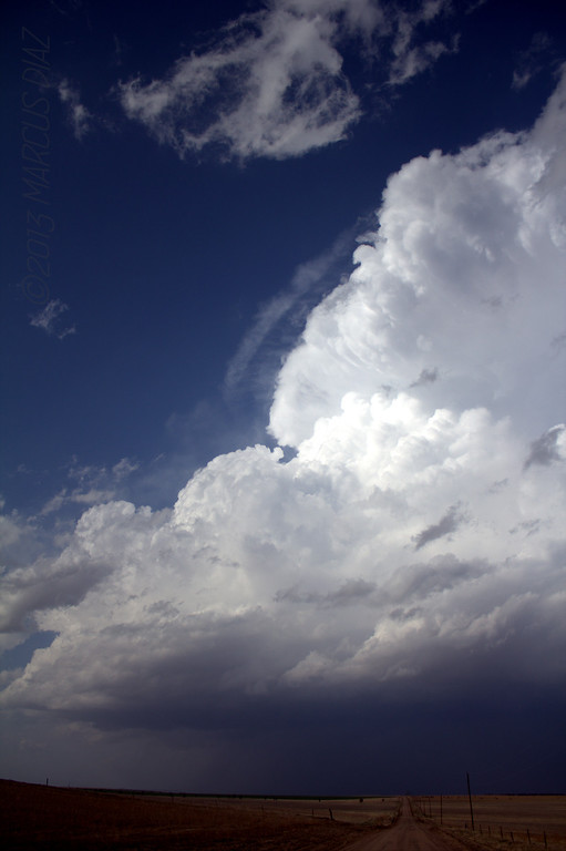 IMG_2823-XL.jpg