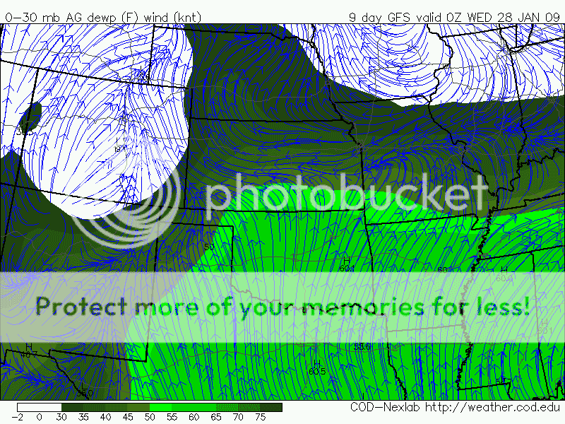 gfsSP_0_30mb_dewp_216.png