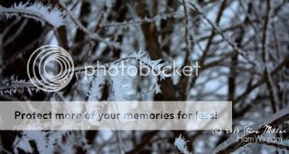 HoarFrost.jpg