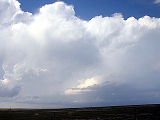 m11sc7.jpg