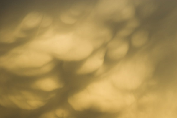 mammatus.jpg