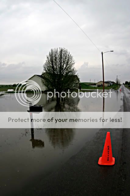 IMG_8110.jpg