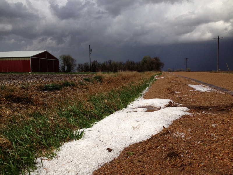 shickleyHail.jpg