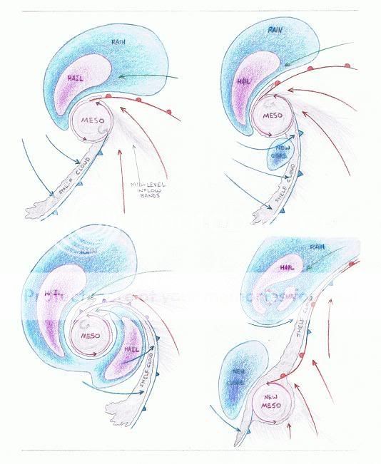 meso_occlusion-1.jpg