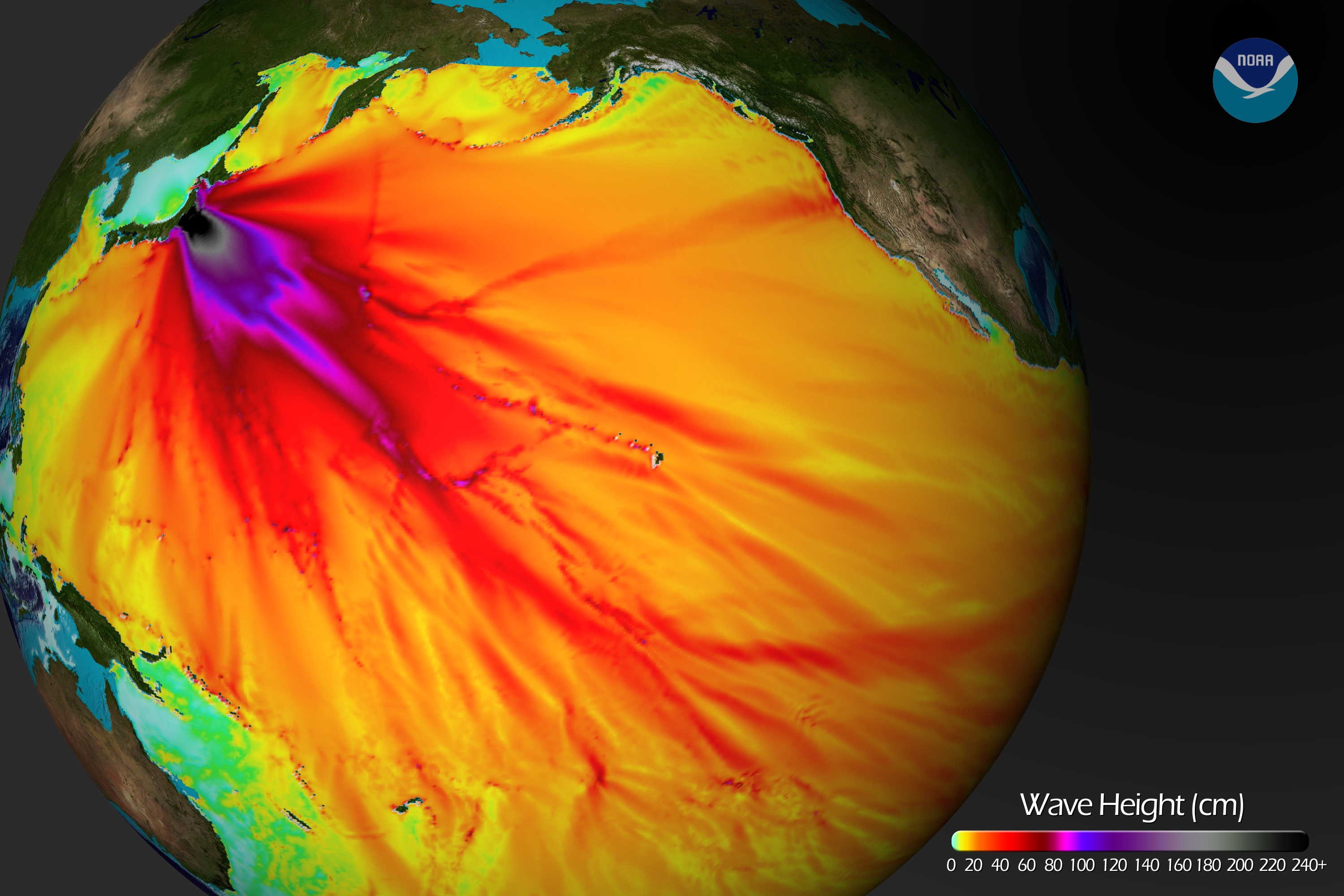 680_20110311-TsunamiWaveHeight.jpg