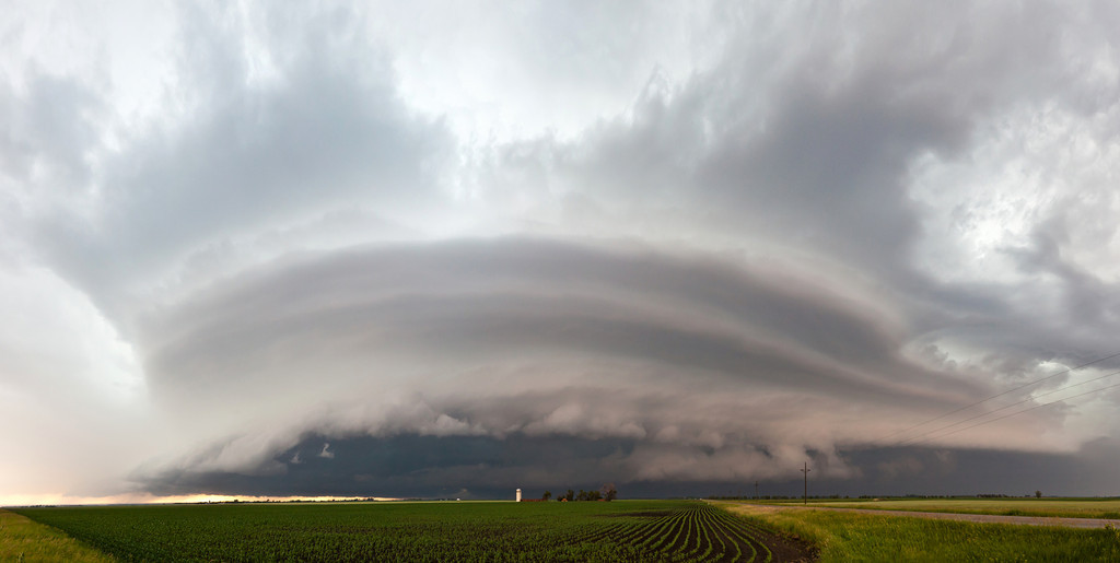 ShelfPano3-XL.jpg
