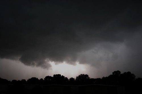 1610084349_1b3c3ddf9f.jpg