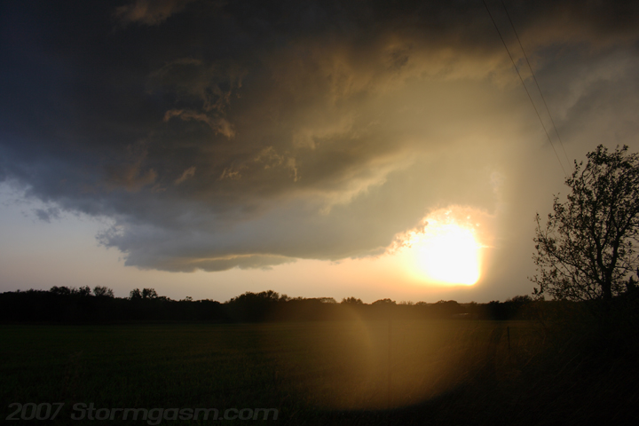 IMG_2798%20copy.JPG