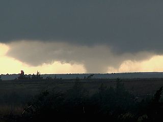 m16tor1.jpg