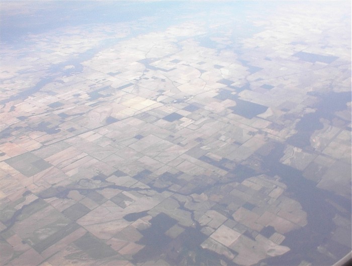 ricefield1.jpg
