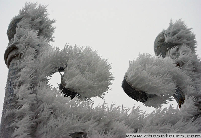 2010_Jan5_3.jpg
