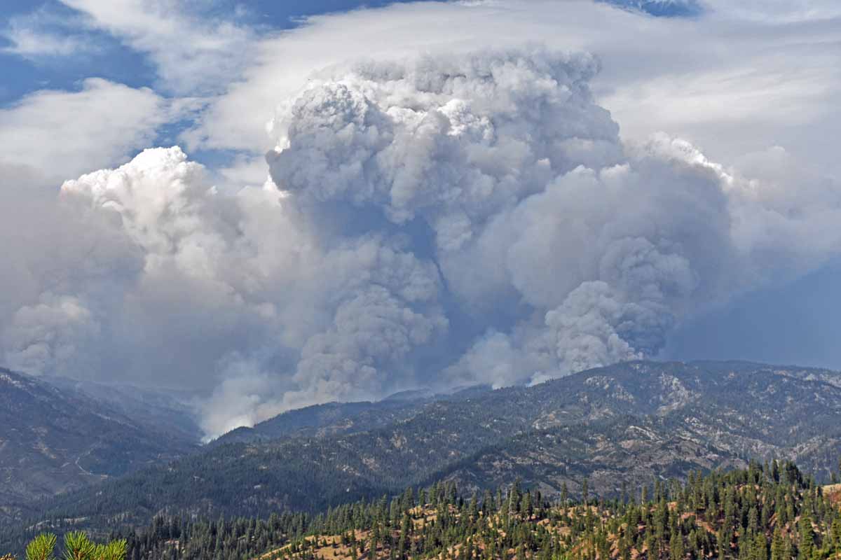 wildfiretoday.com