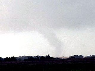 m12tor10.jpg
