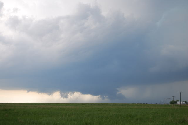 tDSC_0723.JPG
