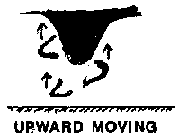 subvortex_airborne_upwardmoving.png