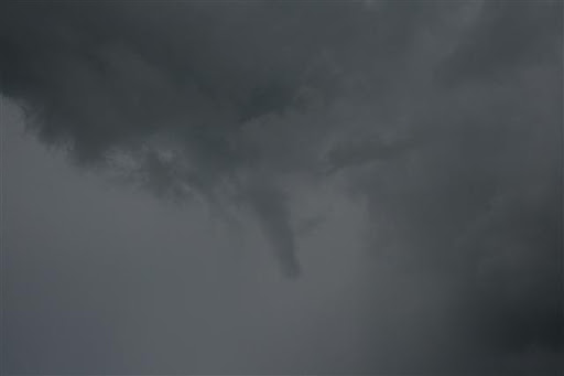 IMG_8343%20%28Small%29.JPG