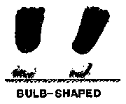 bulb-shaped.png