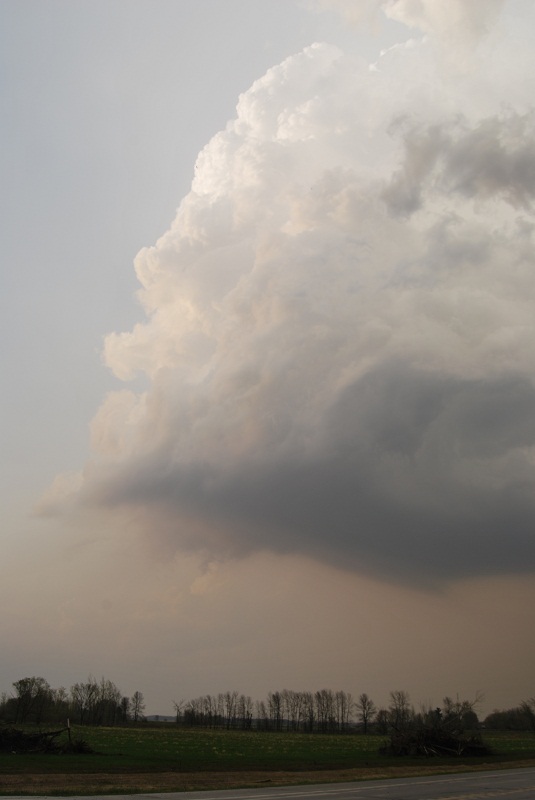 DSC_7938.JPG