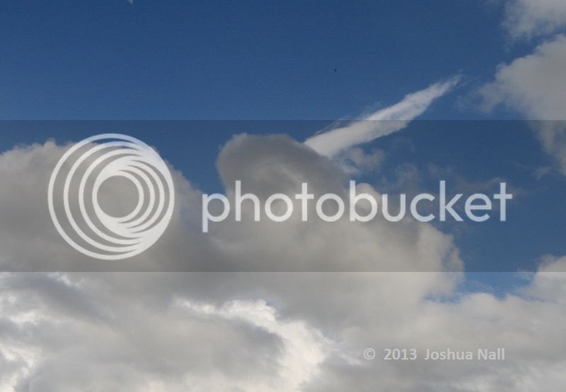 IMG_1387r_zps2bb929f3.jpg