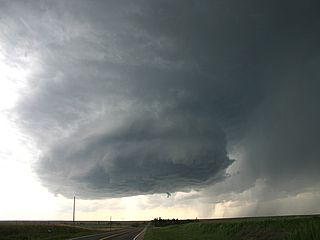 m11sc8.jpg