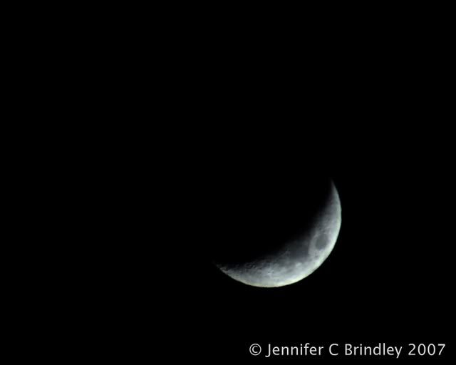 DSC_0247.jpg
