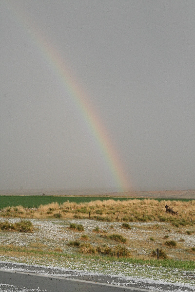 080424_IMG_0792.jpg