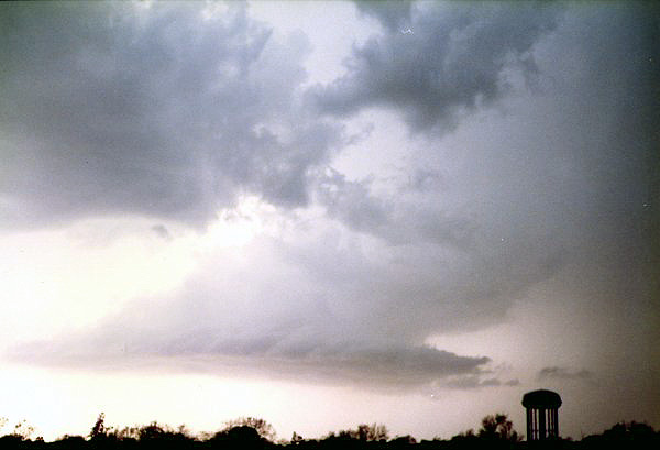 19880328q.jpg