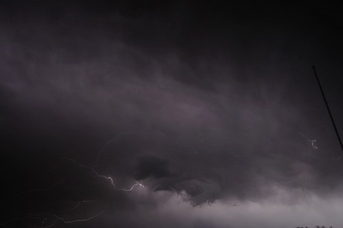 1610086981_993f5681bc.jpg