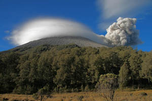 TN300_Semeru_09.jpg