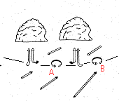 scherung1.gif