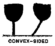 convex-sided.png