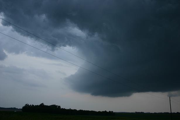 chase61809-2.jpg