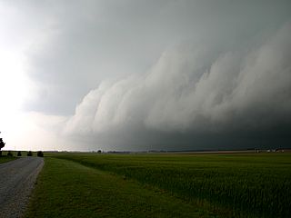 m11gf3.jpg