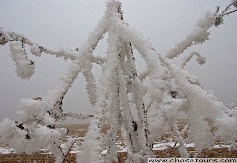 2010_Jan5_10.jpg