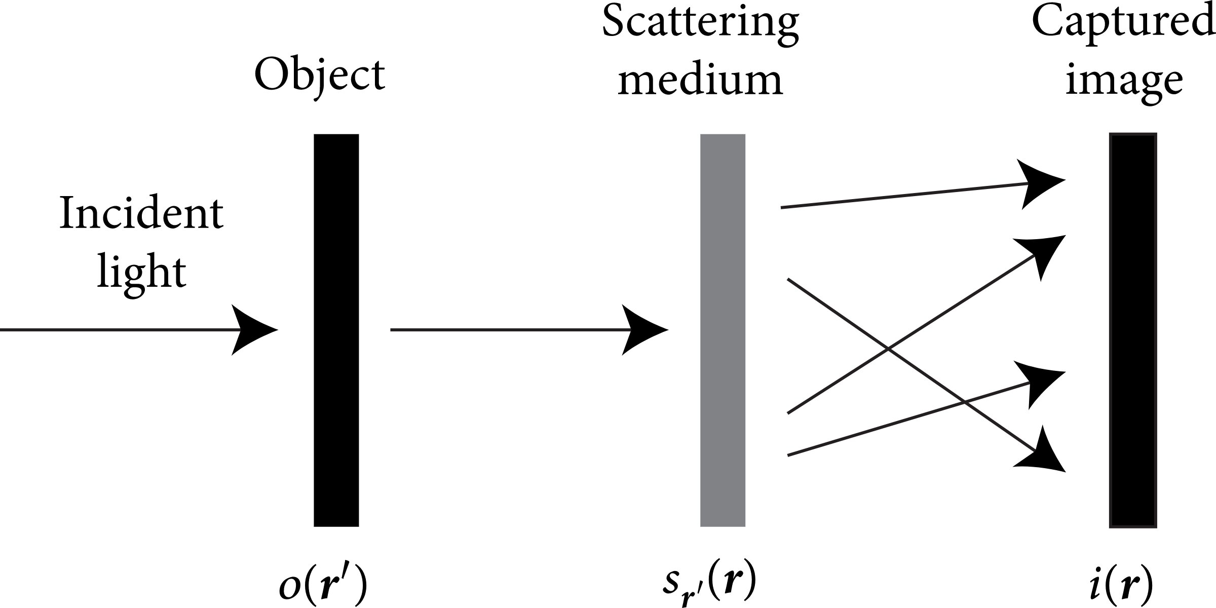 phys.org