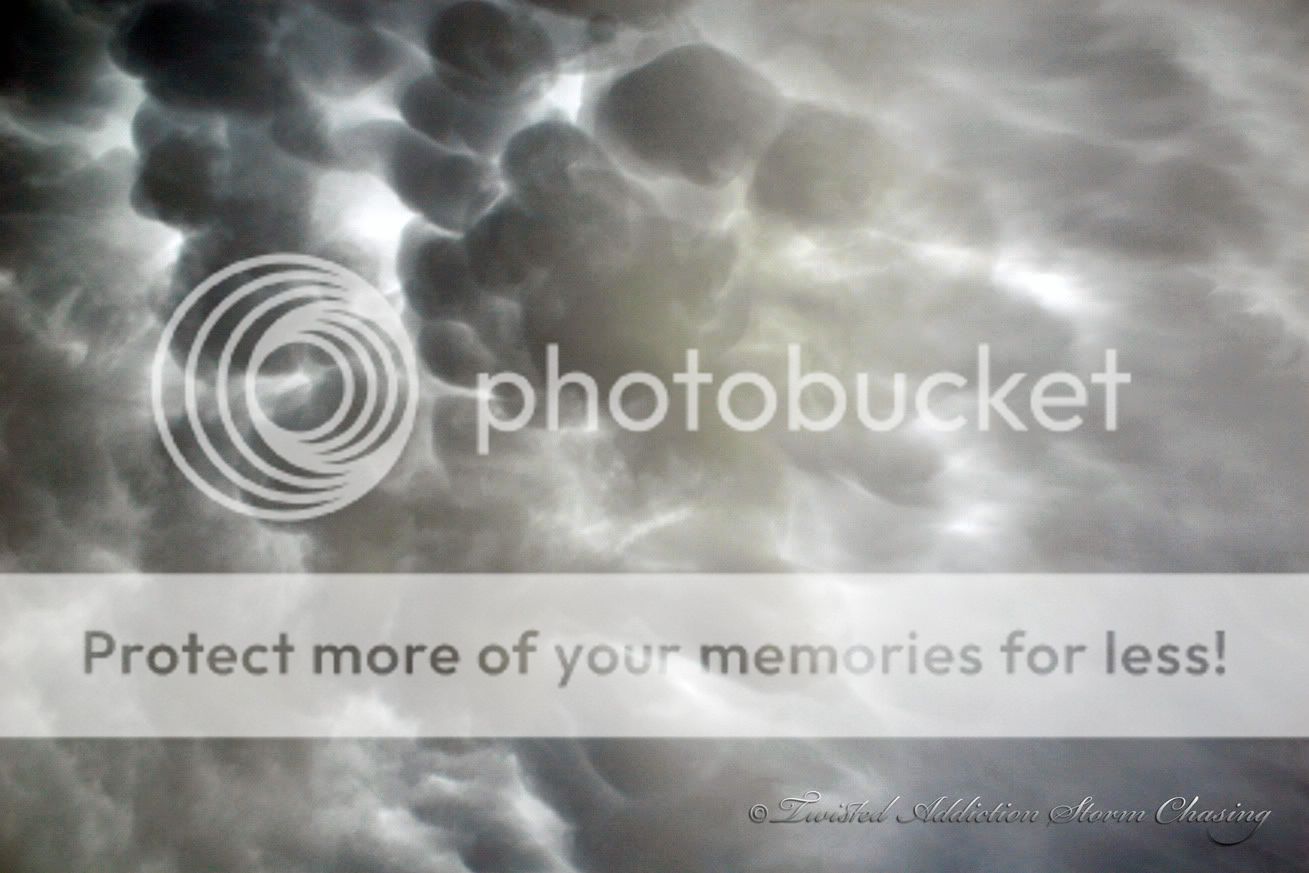 IMG_042630DMammatus.jpg