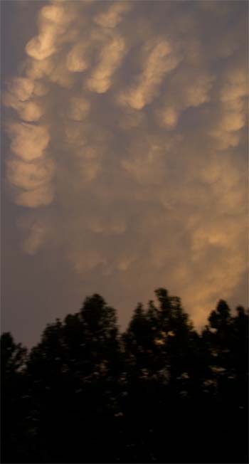 mammatuscloudsbeaudodsonaug09.jpg