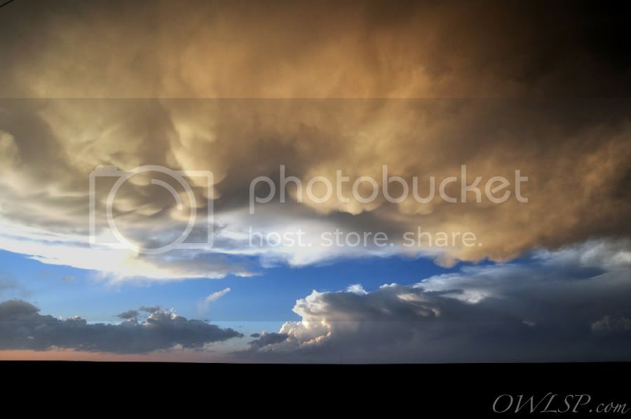 DSC_0115_1-1.jpg