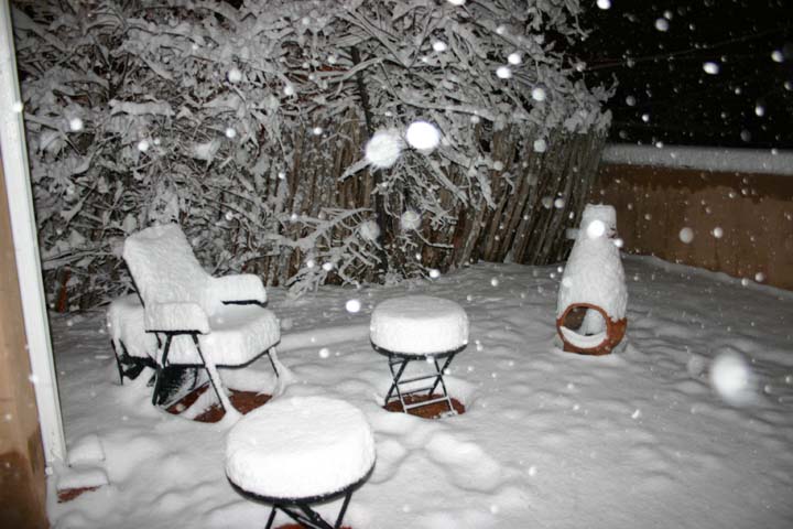 SFsnow3-31410.jpg