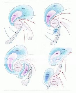meso_occlusion.jpg