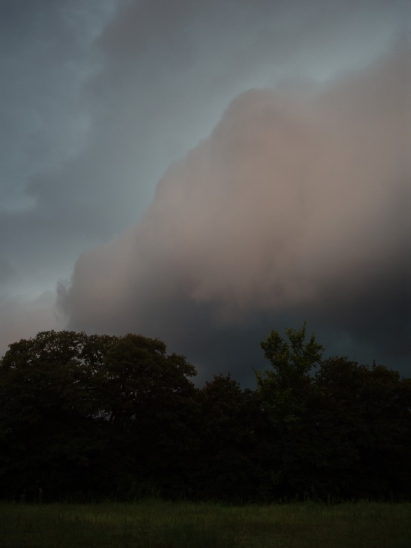 arcus1.jpg