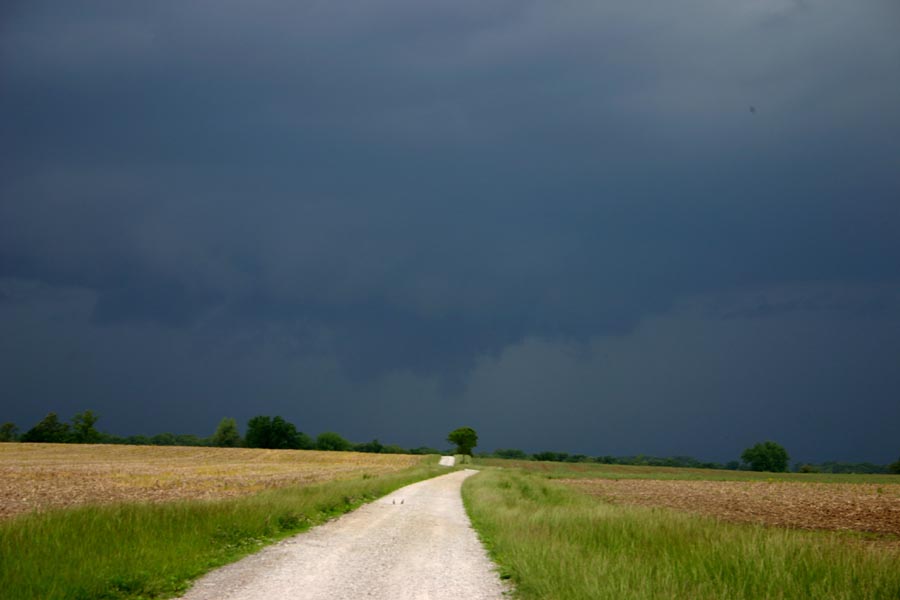 chase51310-1.jpg